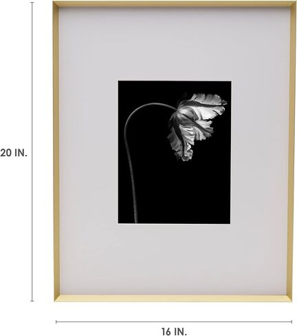 Mikasa Metal Portrait Frame, Displays 8x10 Photo with Mat, 16x20 without Mat, Black in Saudi Arabia