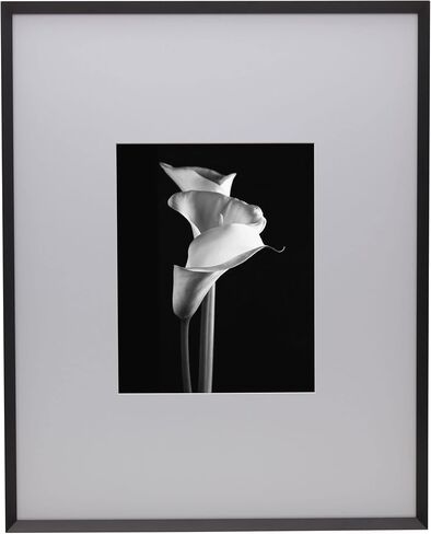 Mikasa Metal Portrait Frame, Displays 8x10 Photo with Mat, 16x20 without Mat, Black in Saudi Arabia