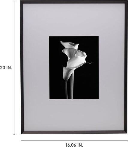 Mikasa Metal Portrait Frame, Displays 8x10 Photo with Mat, 16x20 without Mat, Black in Saudi Arabia