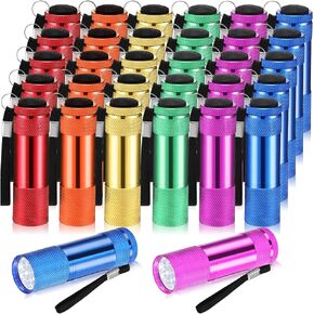 VIHOSE 32 Pcs Mini Flashlights Bulk, Bright LED Aluminum Handheld Flashlight with Lanyard, Small Torch Lights for Hurricane Emergency Kids Night Reading Camping and Party Favors(Fresh Color)