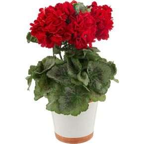 Nearly Natural 4691 Geranium Decorative Silk Plant, Red,10.25" x 10.25" x 17.5" in Saudi Arabia