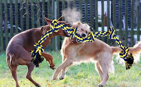 Fejapa 6 Knot 2 Pack 3.6 Feet Large Dog Chew Rope Toy for Aggressive Chewer Power Chewer Heavy Duty Tug of War Play Chewing Tugging Tough Knotted XL Long Rope Pulling Pitbull Large Breed Medium Dog in Saudi Arabia