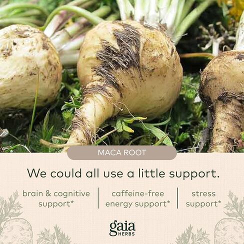 Gaia Herbs Maca Powder - Natural Energy Supplement - Supports and Maintains Healthy Energy and Stamina - Made with USDA Certified Organic Maca Root (Lepidium meyenii) - 16 Oz (138-Day Supply) in Saudi Arabia
