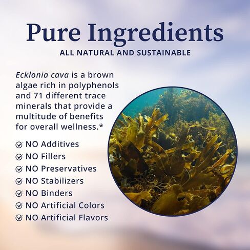 BioPure PC-Ecklonia Cava – Potent Brown Algae Botanical Extract Rich in Polyphenols and 71 Trace Minerals That Support Neurological Function, Circulation, and Overall Wellness - 75 Vegetable Capsules in Kuwait