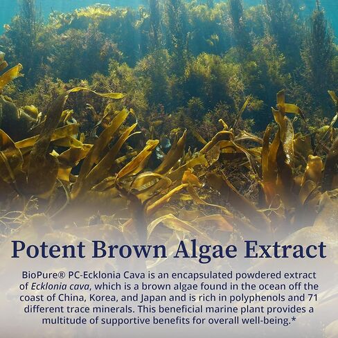 BioPure PC-Ecklonia Cava – Potent Brown Algae Botanical Extract Rich in Polyphenols and 71 Trace Minerals That Support Neurological Function, Circulation, and Overall Wellness - 75 Vegetable Capsules in Kuwait