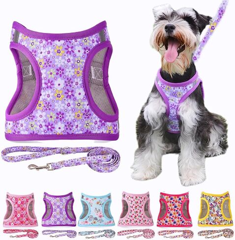 Moonpet Step in Air Dog Harness Leash Set- All Weather Reflective No-Pull Floral Pattern Padded Mesh Vest Harness for Cats Puppy Extra-Small Small Medium Large Dogs - Dark Flower - XXS in Saudi Arabia