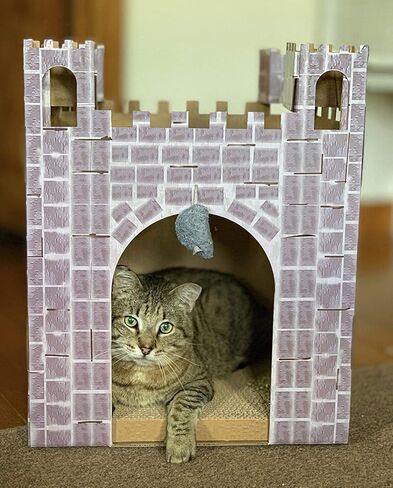 Midlee Castle Cat Scratcher House in Saudi Arabia