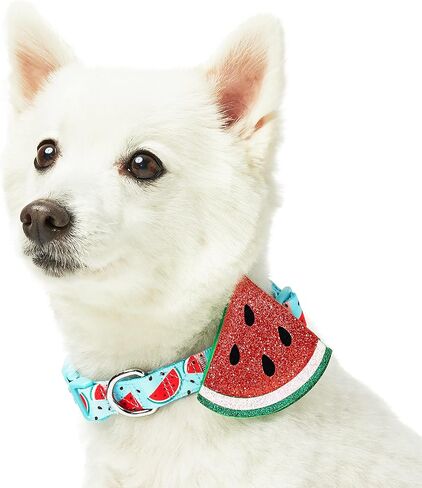 Blueberry Pet Summer Sparkle Dog Collar, Adjustable Small Size, Neck 12"-16", Tropical Flower Baby Pink, Hibiscus Floral Print Pet Collar with Detachable Accessory in Saudi Arabia