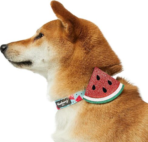 Blueberry Pet Summer Sparkle Dog Collar, Adjustable Small Size, Neck 12"-16", Tropical Flower Baby Pink, Hibiscus Floral Print Pet Collar with Detachable Accessory in Saudi Arabia