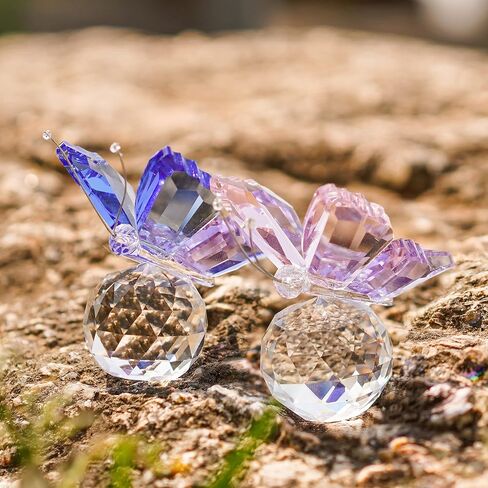 باترفلاي سيريز in Kuwait