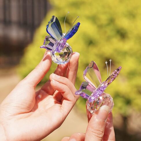 باترفلاي سيريز in Kuwait