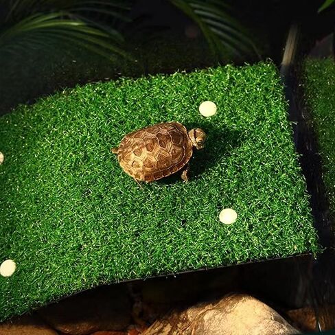 منصة استراحة السلحفاة، منصة استراحة السلحفاة، سلم تسلق السلحفاة في الحديقة، شرفة استراحة السلحفاة للضفدع الزواحف in Kuwait