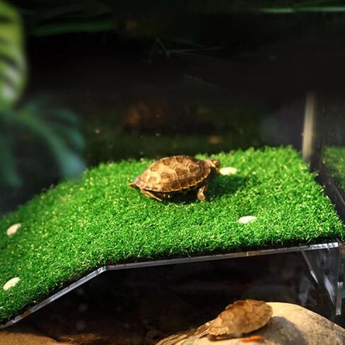 منصة استراحة السلحفاة، منصة استراحة السلحفاة، سلم تسلق السلحفاة في الحديقة، شرفة استراحة السلحفاة للضفدع الزواحف in Kuwait