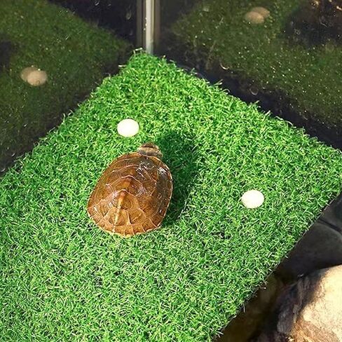 منصة استراحة السلحفاة، منصة استراحة السلحفاة، سلم تسلق السلحفاة في الحديقة، شرفة استراحة السلحفاة للضفدع الزواحف in Kuwait