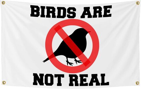 لافتة بتصميم عبارة Birds Are Not Real Flag مقاس 3 × 5 قدم، أعلام مضحكة للغرفة، بساط حائط مزخرف رائع لكهف الرجل مع حلقات نحاسية لغرفة النوم الجامعية in Kuwait
