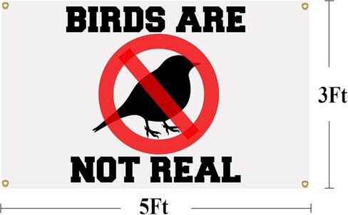 لافتة بتصميم عبارة Birds Are Not Real Flag مقاس 3 × 5 قدم، أعلام مضحكة للغرفة، بساط حائط مزخرف رائع لكهف الرجل مع حلقات نحاسية لغرفة النوم الجامعية in Kuwait