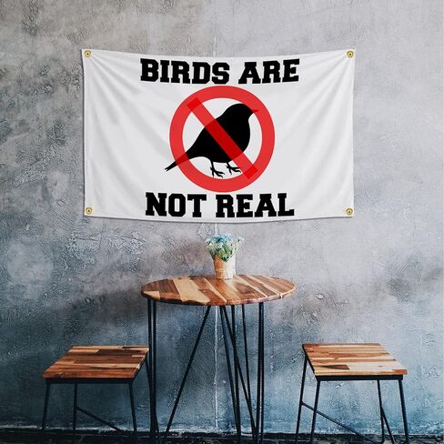 لافتة بتصميم عبارة Birds Are Not Real Flag مقاس 3 × 5 قدم، أعلام مضحكة للغرفة، بساط حائط مزخرف رائع لكهف الرجل مع حلقات نحاسية لغرفة النوم الجامعية in Kuwait