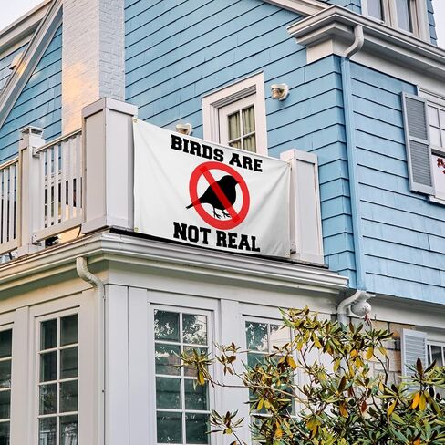 لافتة بتصميم عبارة Birds Are Not Real Flag مقاس 3 × 5 قدم، أعلام مضحكة للغرفة، بساط حائط مزخرف رائع لكهف الرجل مع حلقات نحاسية لغرفة النوم الجامعية in Kuwait