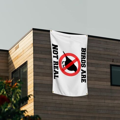 لافتة بتصميم عبارة Birds Are Not Real Flag مقاس 3 × 5 قدم، أعلام مضحكة للغرفة، بساط حائط مزخرف رائع لكهف الرجل مع حلقات نحاسية لغرفة النوم الجامعية in Kuwait