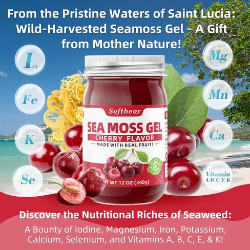 softbear Sea Moss Gel بنكهة الكرز 12 أونصة - جل طحالب البحر الأيرلندية Wildcrafted عضوي خام 92 معادن وفيتامينات غير معدلة وراثيًا، خالي من الغلوتين، مكملات نباتية، دعم الجهاز الهضمي in Kuwait