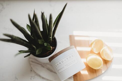 Sand + Fog Scented Candle - Vanilla Sandalwood – Additional Scents and Sizes – 100% Cotton Lead-Free Wick - Luxury Air Freshening Jar Candles - Perfect Home Decor – 12oz in Kuwait