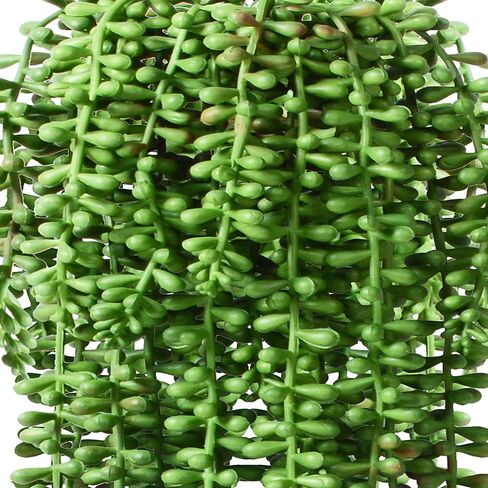 3pcs Fake String of Pearls Plant Artificial Hanging Plants Faux String of Pearls Artificial Succulents Plants Artificial String of Pearls Plants Fake Hanging Plant (Succulents) in Kuwait