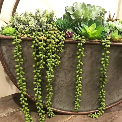 3pcs Fake String of Pearls Plant Artificial Hanging Plants Faux String of Pearls Artificial Succulents Plants Artificial String of Pearls Plants Fake Hanging Plant (Succulents) in Kuwait