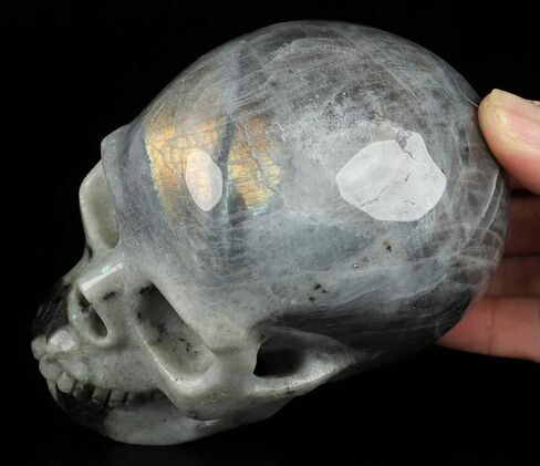 4.6" Labradorite Crystal Skull, Hand Carved Gemstone Fine Art Sculpture, Reiki Healing Stone Statue.2970. in Saudi Arabia
