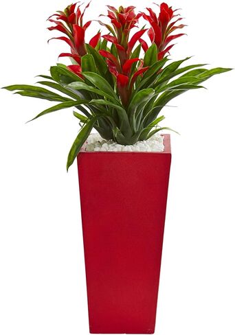 ما يقرب من الطبيعي ثلاثي bromeliad الصناعي نبات زرع تراكوتا ، باللون الأحمر in Saudi Arabia
