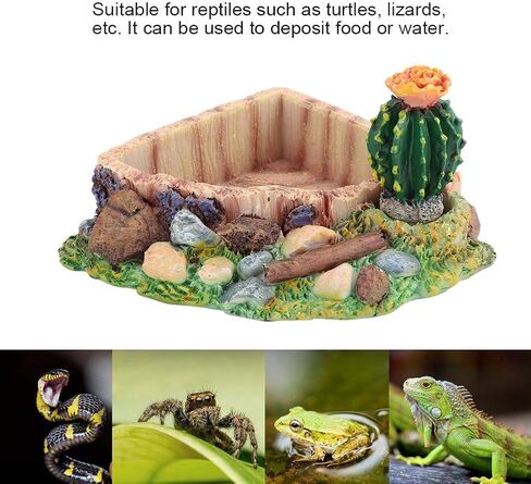 Yuehuam Reptile Tank Decor Resin Lizard Turtle Tortoise Feeding Water Dish Bowl Plate with Cactus for Lizard, Gecko, Water Frog, Other Reptile in Saudi Arabia