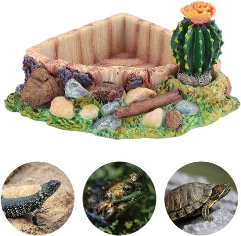 Yuehuam Reptile Tank Decor Resin Lizard Turtle Tortoise Feeding Water Dish Bowl Plate with Cactus for Lizard, Gecko, Water Frog, Other Reptile in Saudi Arabia