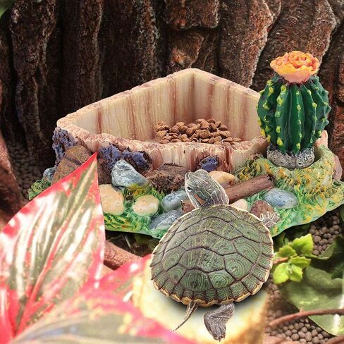 Yuehuam Reptile Tank Decor Resin Lizard Turtle Tortoise Feeding Water Dish Bowl Plate with Cactus for Lizard, Gecko, Water Frog, Other Reptile in Saudi Arabia