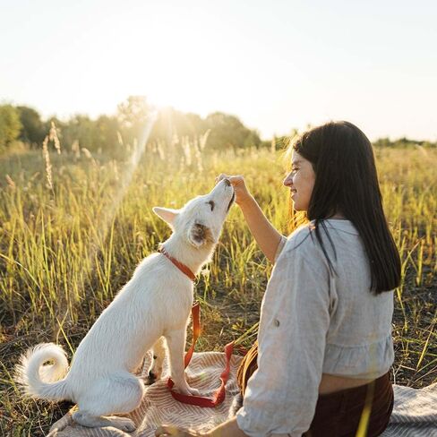 جهاز التوازن الطبيعي L.I.D. حزمة Mini Rewards Dog Treats من 3 نكهات - (1) لكل منها: سمك السلمون والدجاج والديك الرومي (5.3 أونصة) - بالإضافة إلى حزمة كتيب حقائق عن الحيوانات الممتعة in Kuwait