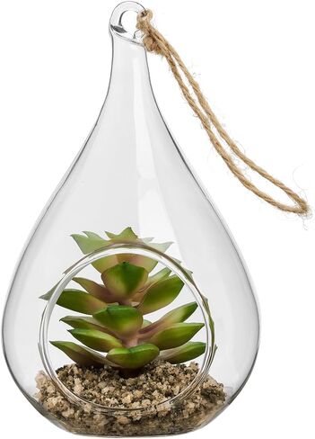 Torre & Tagus Faux Sedum Plant in Hanging Glass Terrarium (Fake Plant Included), Small Plant Terrarium with Faux Succulent Ornament in Air Plant Terrarium as Table Decor Plant Ornament in Saudi Arabia