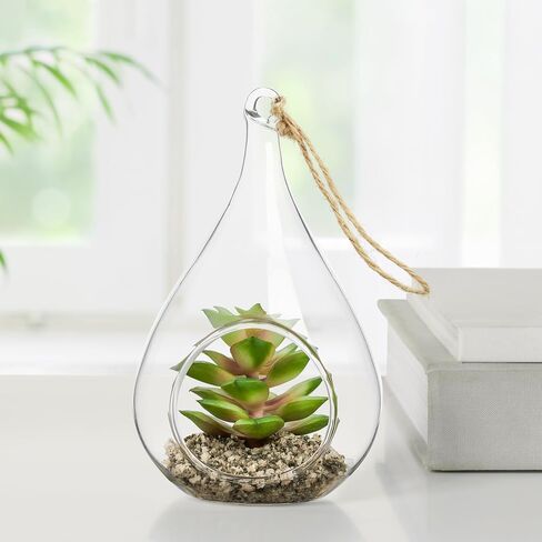 Torre & Tagus Faux Sedum Plant in Hanging Glass Terrarium (Fake Plant Included), Small Plant Terrarium with Faux Succulent Ornament in Air Plant Terrarium as Table Decor Plant Ornament in Saudi Arabia