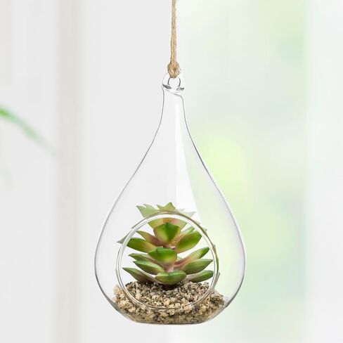 Torre & Tagus Faux Sedum Plant in Hanging Glass Terrarium (Fake Plant Included), Small Plant Terrarium with Faux Succulent Ornament in Air Plant Terrarium as Table Decor Plant Ornament in Saudi Arabia