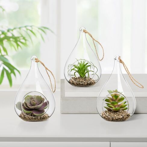 Torre & Tagus Faux Sedum Plant in Hanging Glass Terrarium (Fake Plant Included), Small Plant Terrarium with Faux Succulent Ornament in Air Plant Terrarium as Table Decor Plant Ornament in Saudi Arabia