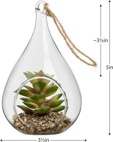 Torre & Tagus Faux Sedum Plant in Hanging Glass Terrarium (Fake Plant Included), Small Plant Terrarium with Faux Succulent Ornament in Air Plant Terrarium as Table Decor Plant Ornament in Saudi Arabia