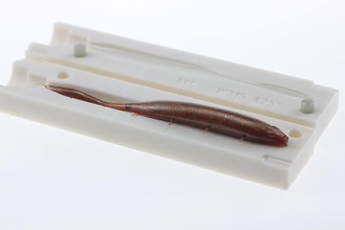 Soft Plastiс Mold Lure Making Injection Molds Fishing Lures Dream Shot Worm 4.25'' W315 in Saudi Arabia