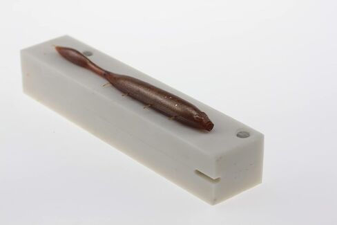 Soft Plastiс Mold Lure Making Injection Molds Fishing Lures Dream Shot Worm 4.25'' W315 in Saudi Arabia
