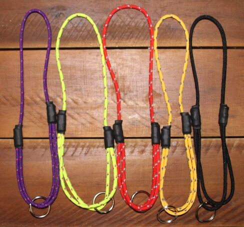 National Leash Thin Mountain Rope Dog ID Collar - Blue Eyes -XS/Toy Size (6"-12") - The Original Snickers Collar in Saudi Arabia