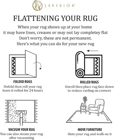 Superior Indoor Large Shag Area Rug with Non-Skid Foam Backing, Ultra-Soft and Fluffy Shaggy Rugs for Living Room, Bedroom, Office, Dining, Home Floor Decor, California Collection, Ivory, 4' X 6' in Saudi Arabia