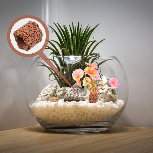 Balacoo 10pcs Water Plant Fixed Ring, Practical Durable Water Plant Fixed Ring Tool Decor Holder for Aquarium Fish Tank in Saudi Arabia