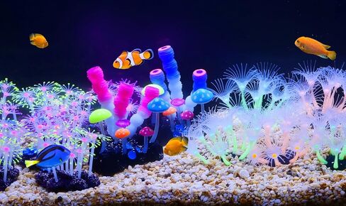 نباتات حوض السمك إيموشنلايت، ديكورات راتنج حوض السمك الاصطناعي ديكور جربر أبيض وبرتقالي، عبوة واحدة in Kuwait