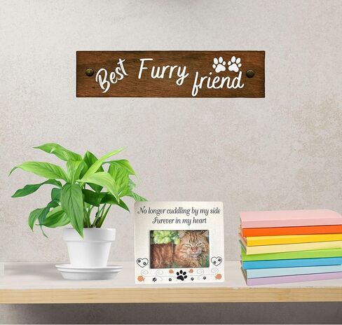 إطار الصورة التذكاري للقطط من BANBERRY DESIGNS لم يعد يحتضن بجانبي، إلى الأبد في قلبي، هدية تعاطف لإطار صور الحيوانات الأليفة في ذكرى حيوان أليف in Saudi Arabia