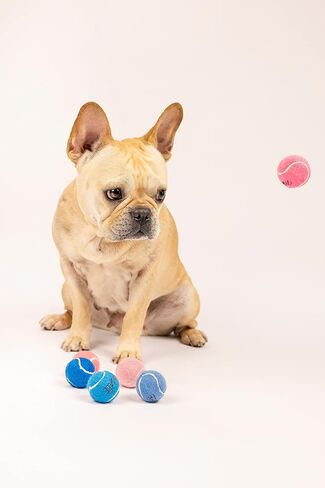 Midlee Mini 1.5" Squeaky Dog Tennis Balls- Pink- Set of 6 in Saudi Arabia