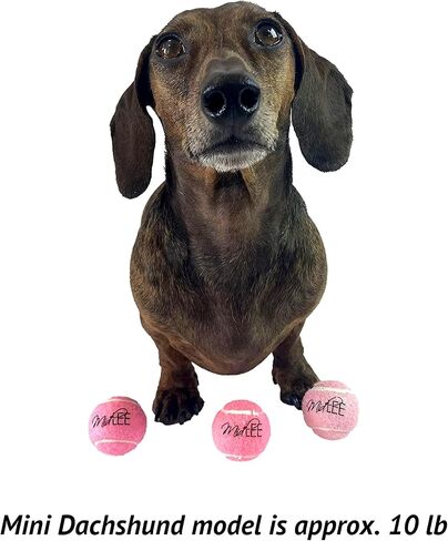 Midlee Mini 1.5" Squeaky Dog Tennis Balls- Pink- Set of 6 in Saudi Arabia