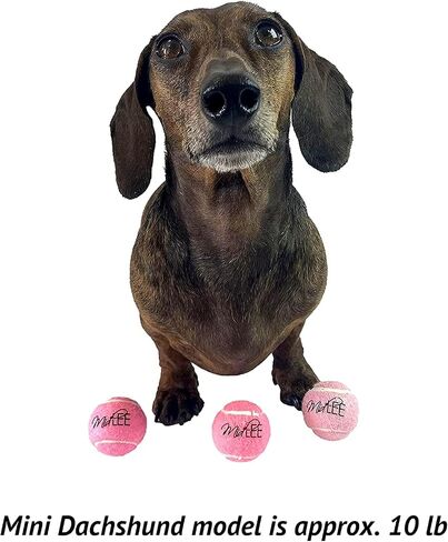 Midlee Mini 1.5" Squeaky Dog Tennis Balls- Pink- Set of 6 in Saudi Arabia