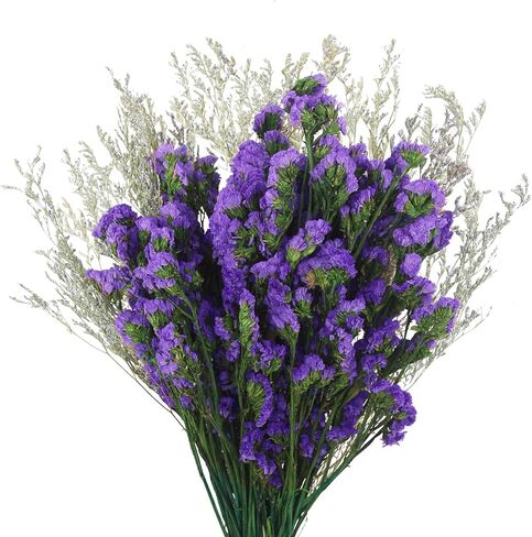 CITYES Artificial Flower Forget-me-not deep Purple Valentine Grass in Kuwait