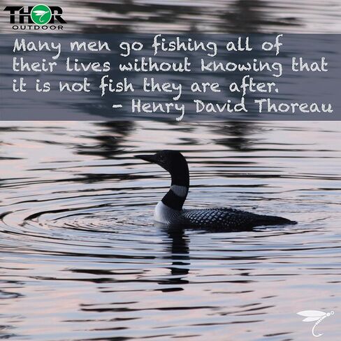 Thor Outdoor BH Squirmy Worm - Multi Pc Sets Wet Fly Fishing Flies for Trout, Panfish and Bass in Kuwait